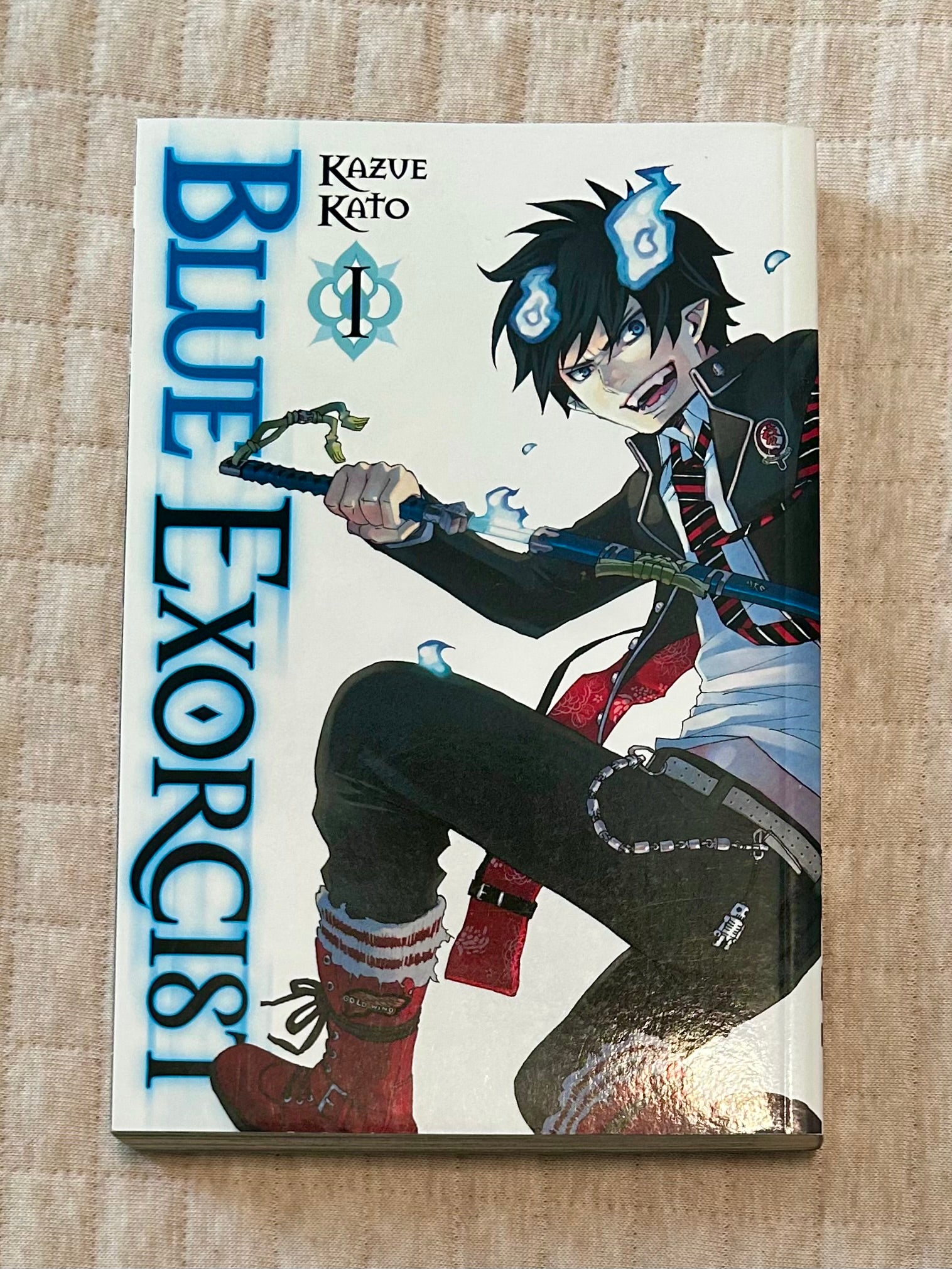 Blue Exorcist, Vol. 1