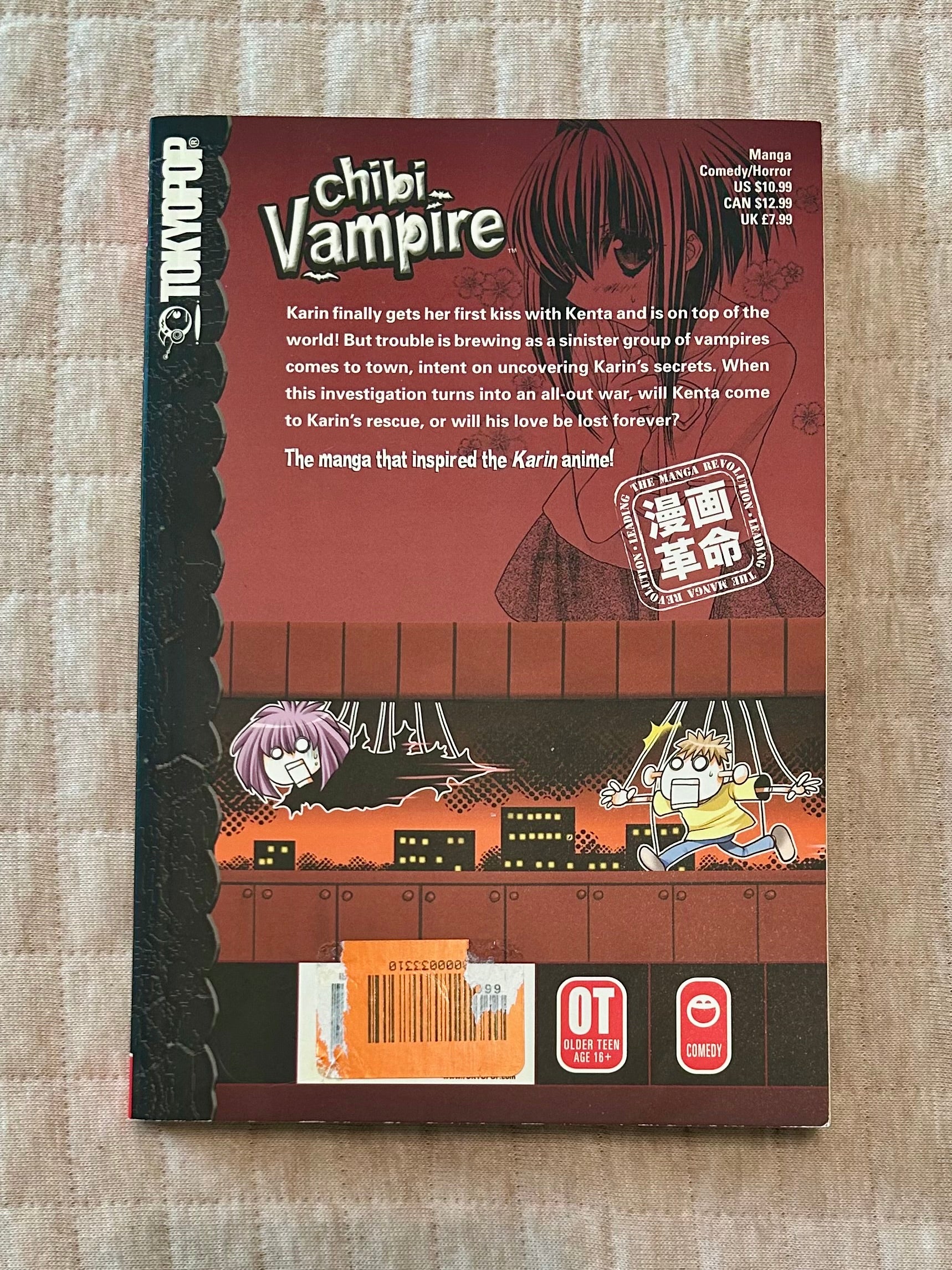Chibi Vampire, Vol. 13
